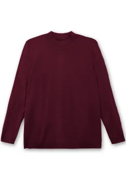 Extraweicher Pullover mit Stehkragen