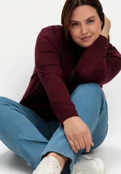 Extraweicher Pullover mit Stehkragen