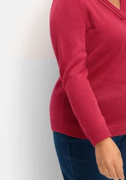 Pullover mit raffiniertem V-Ausschnitt