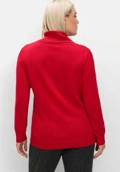 Pullover mit weitem Wasserfall-Rollkragen